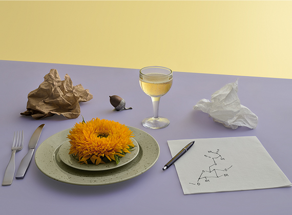 There are some objects on a table: a plate, a flower and a notebook with a chemical formula on it.